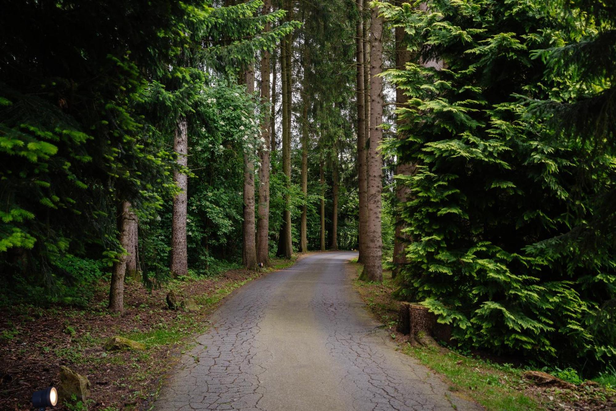 Hotel Steineweiher St. Vith Dış mekan fotoğraf